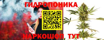 трава Заводоуковск