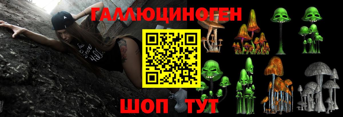 Галлюциногенные грибы Psilocybe  Вход с VPN  Кунгур 